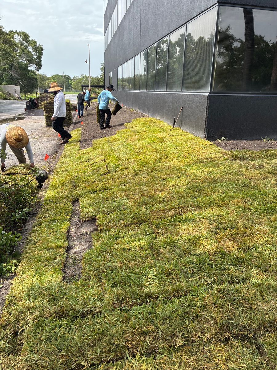 Sod Installation for Gulf Bay Sod in Clearwater, FL