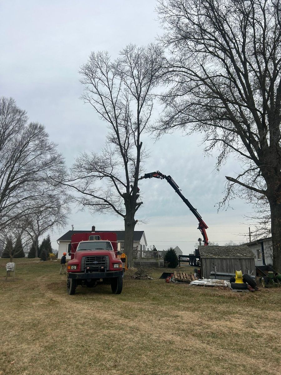 Tree Trimming for Hingewood Tree Service in Salem, NJ