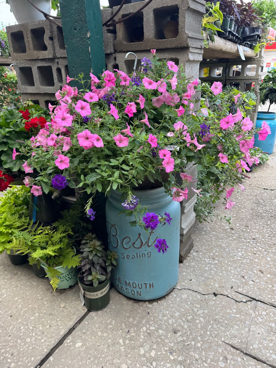 Gardening for Mayfield Landscaping in Staunton, IL