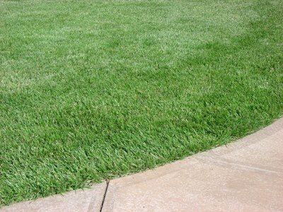 Mowing for Lawn Dogz Lawns & Landscaping in Tampa, FL