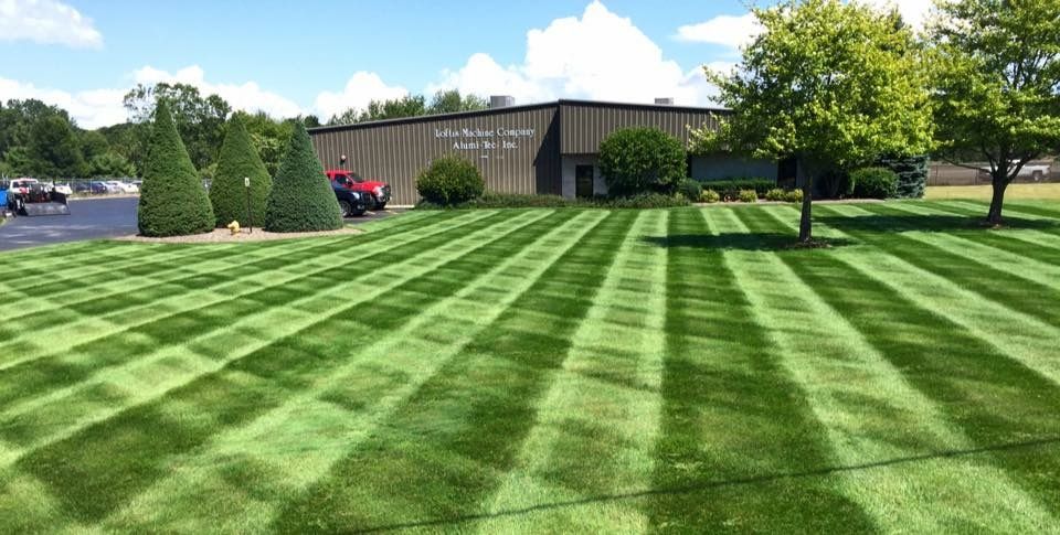 Lawn Care for Greenscape Lawns in Montague, MI
