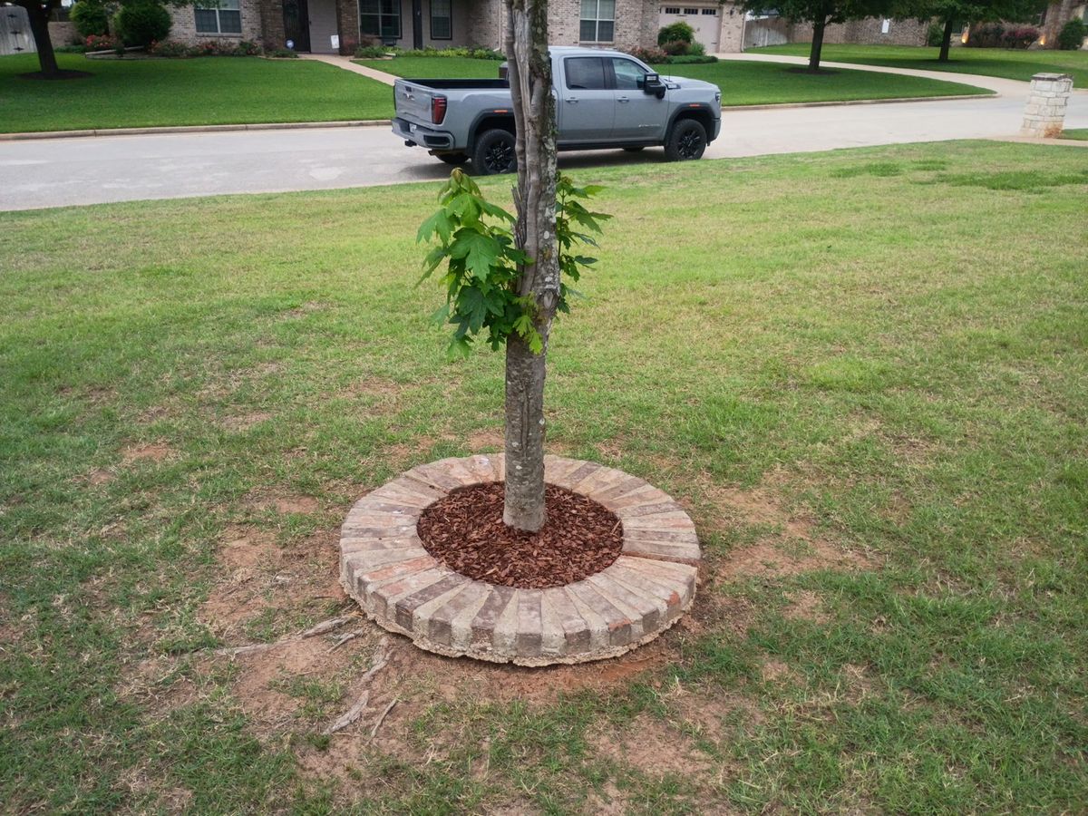 Sod Install for Wilson's Yard Work, LLC in Tyler, TX