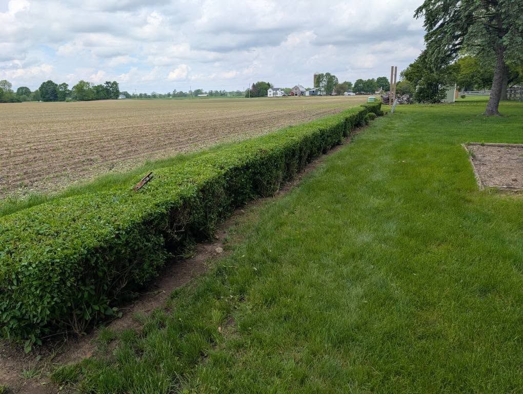 Shrub Trimming for Knapps Landscaping and Lawn Care in Marion, OH
