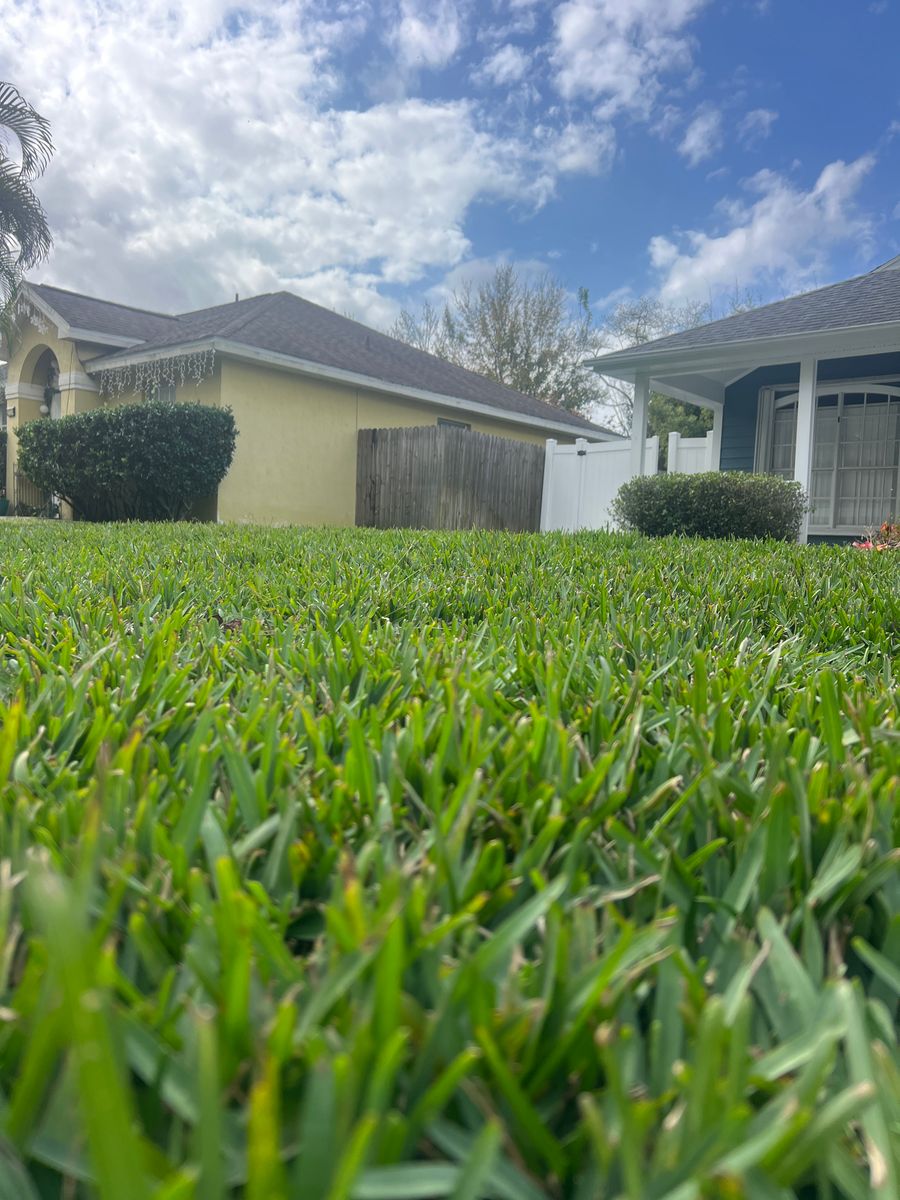 Sod Install for C4 Ground Control in Oviedo, FL