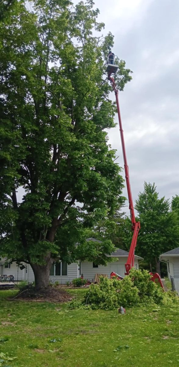 Tree Trimming for Lawn Ranger Yard And Tree Service LLC in Ottumwa, IA