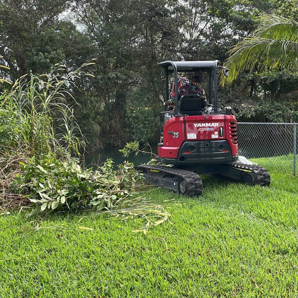 Debris for Nurry Tree Services in Miami, FL