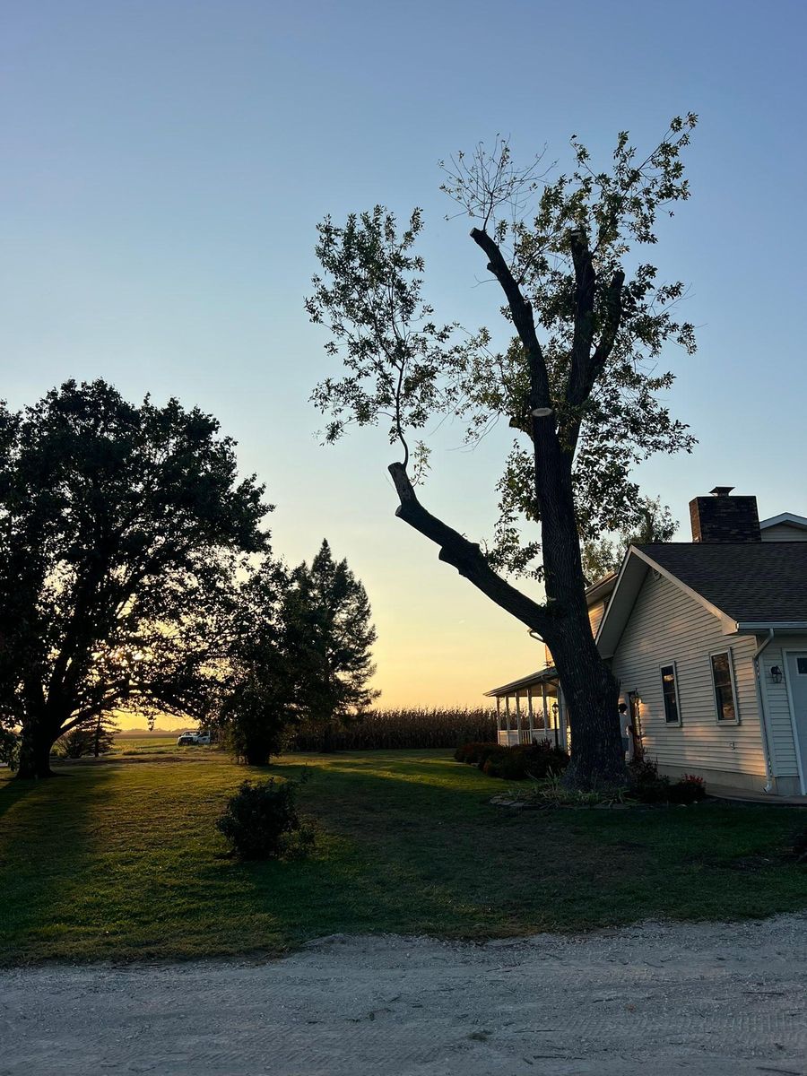 Property Clean Up for Baker Professional Services LLC in Shelbina, MO