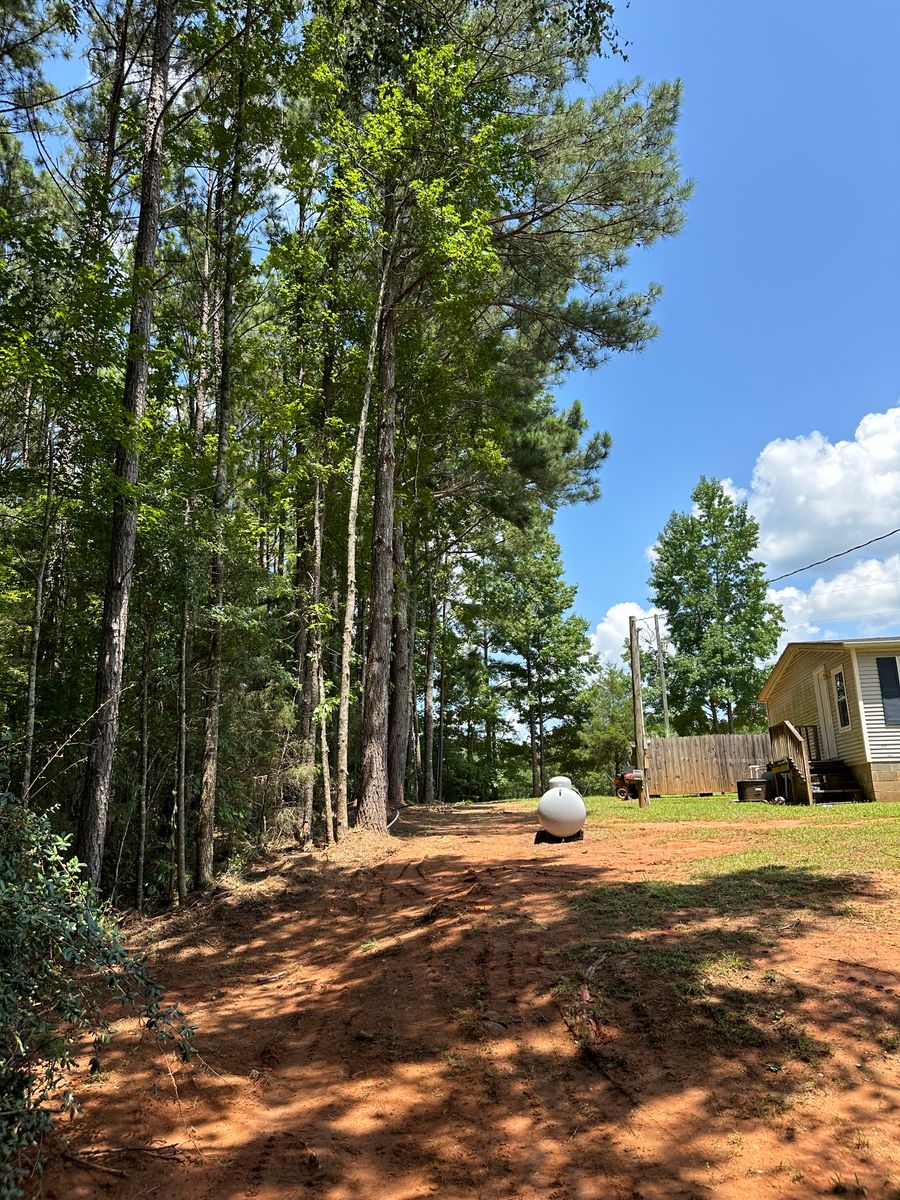 Tree Trimming for ArborMax in Thomaston, GA