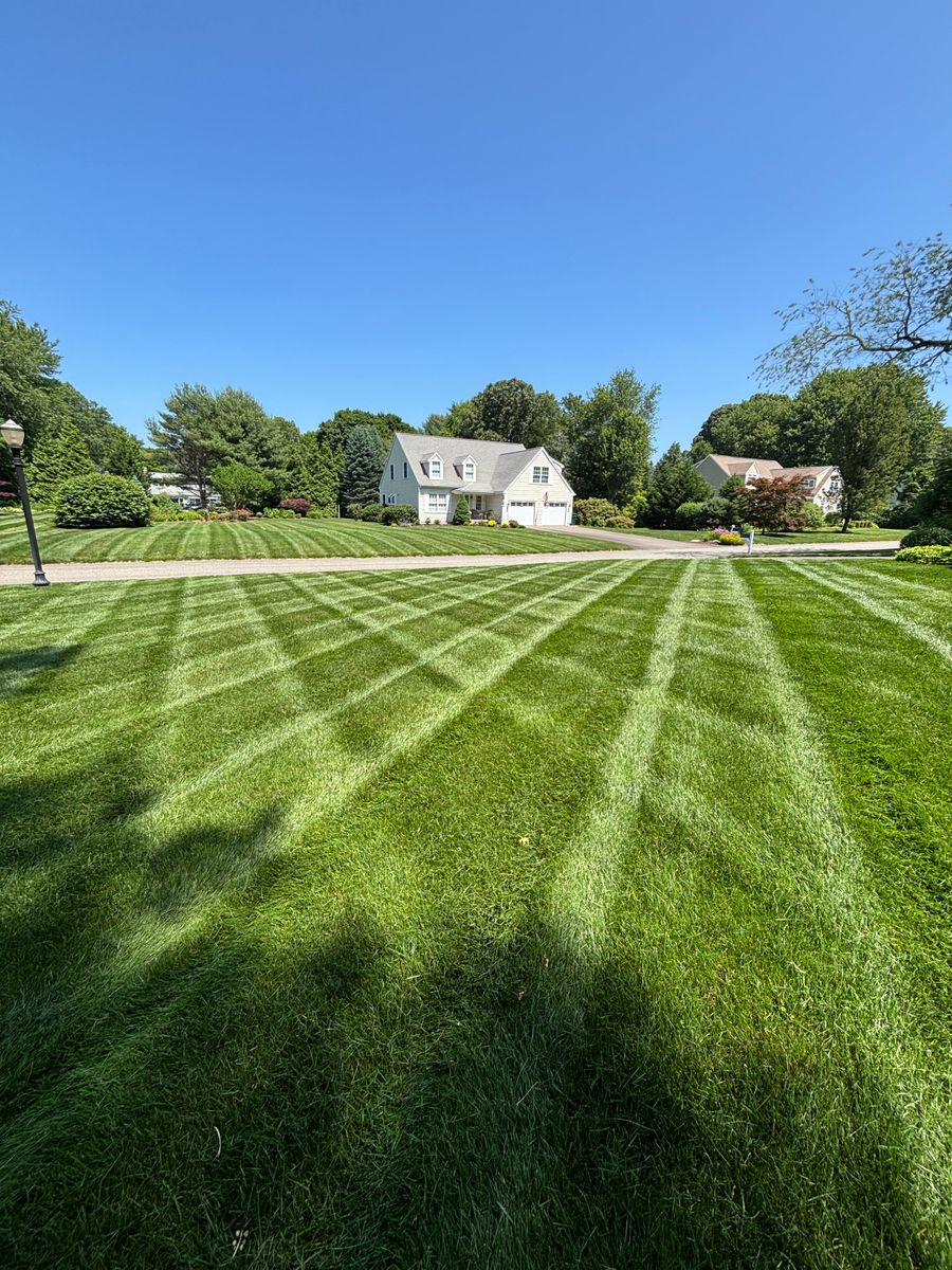Premium Lawn Maintenance for Emerald Exterior Property Management in Old Lyme, CT