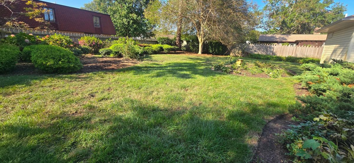 tree service for Beach Tree Care in Virginia Beach, VA