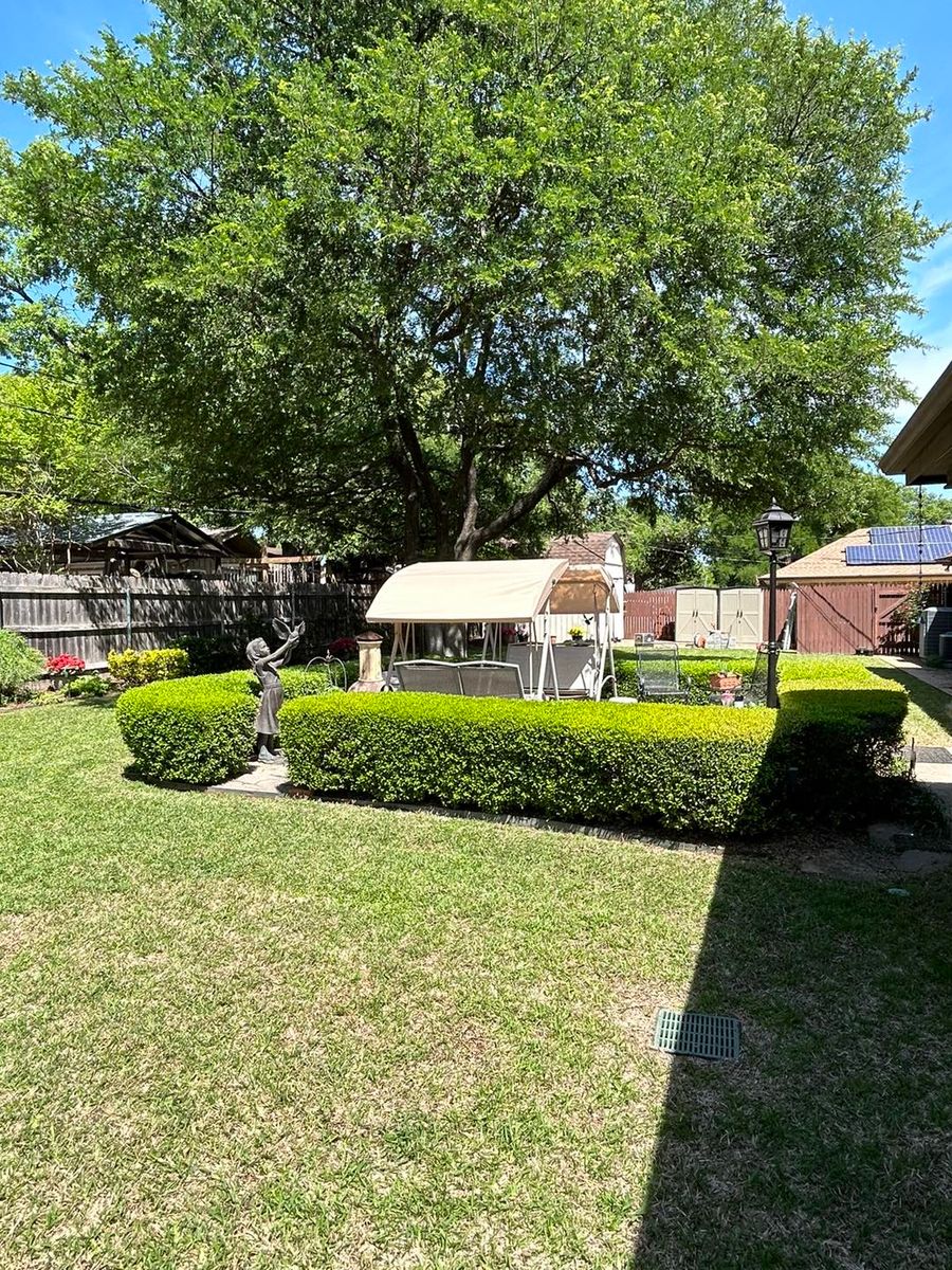 Shrub Trimming for Muniz Tree Service in North Richland Hills, TX