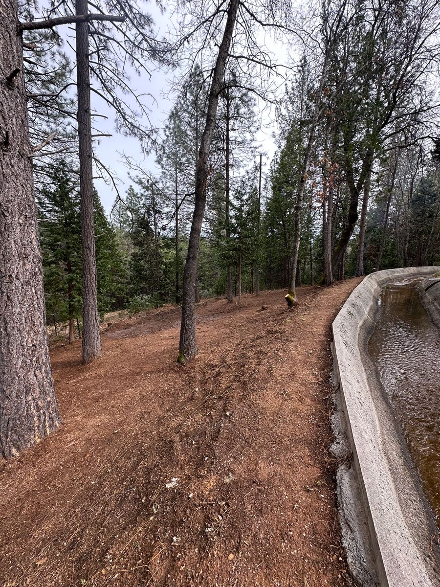 Defensible Space for Tyco Forest Management in Placerville, CA