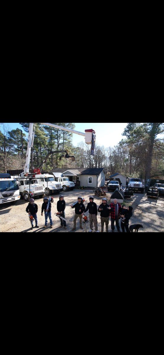 Tree Removal for AB Tree Service in Raleigh, NC