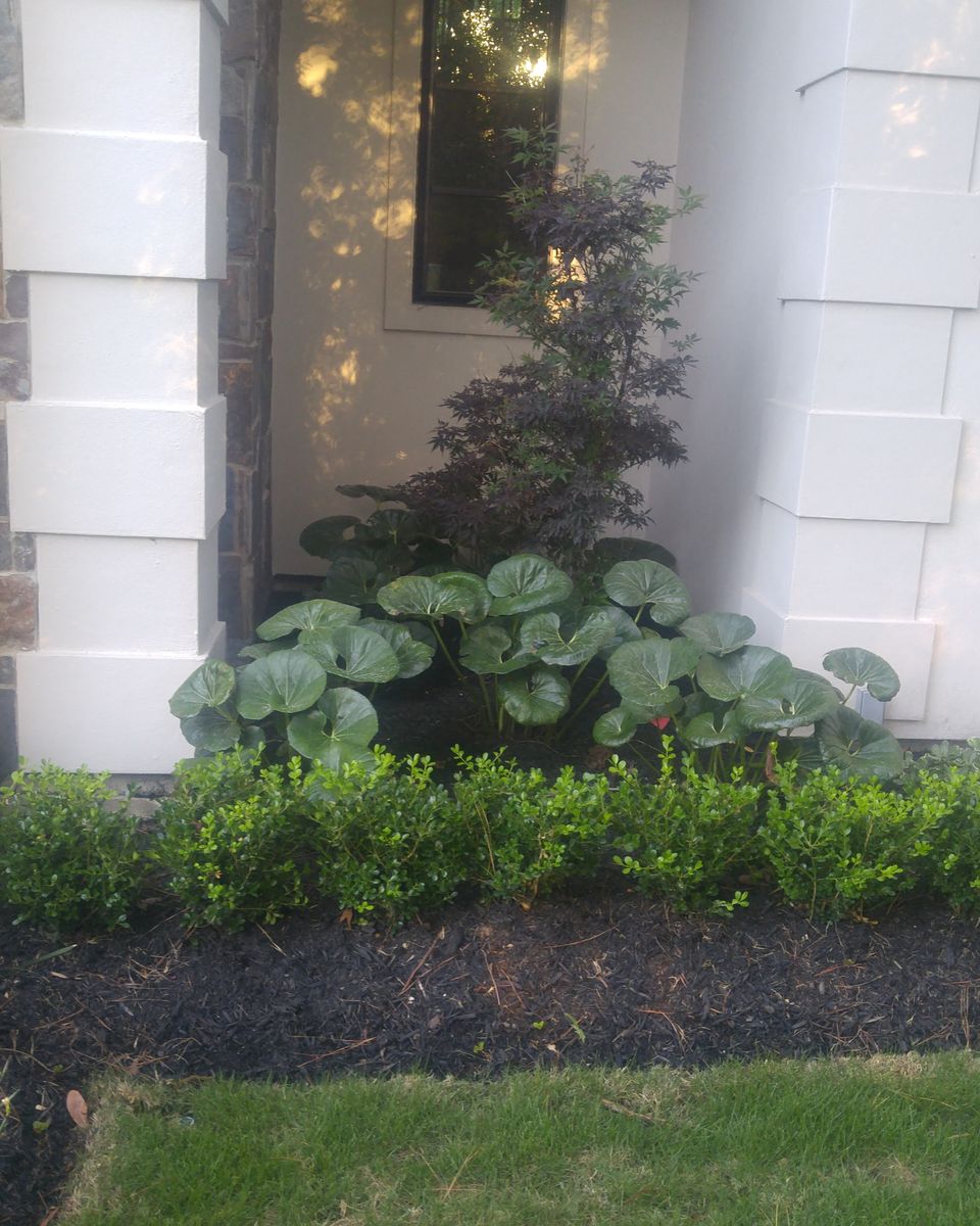 Landscape Installation for Atlas Land Design in Creekside Park, TX