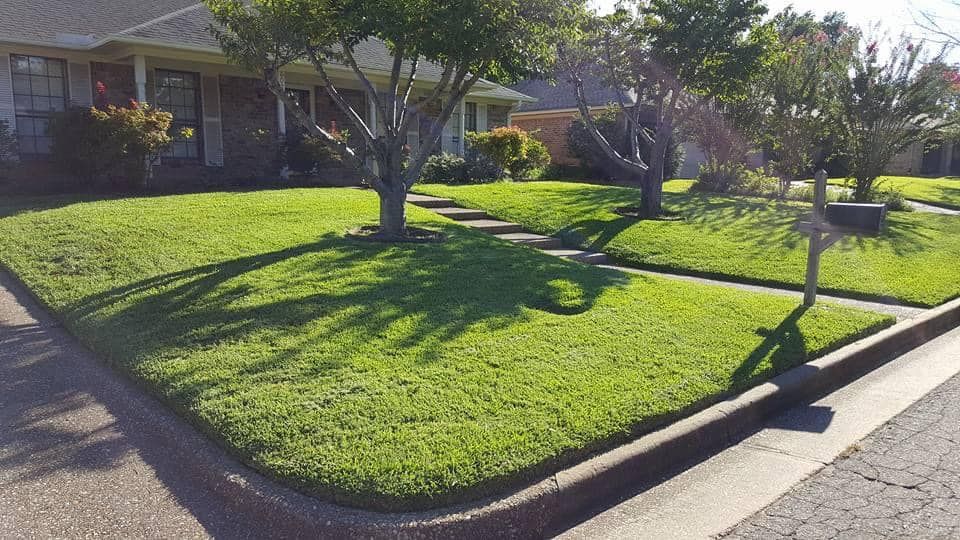 Shrub Trimming for Wilson's Yard Work, LLC in Tyler, TX