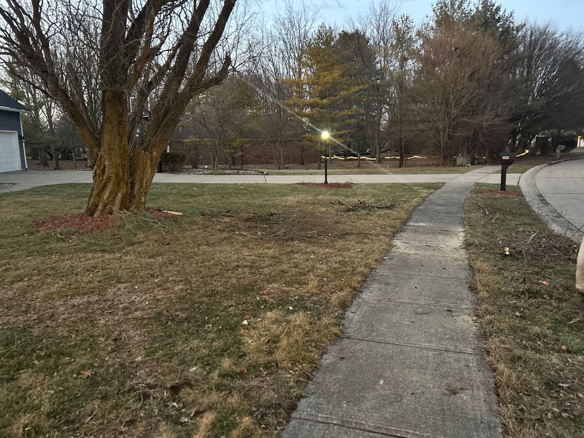 Storm Cleanup for Bearforce Lawn Care LLC in Greenfield, IN