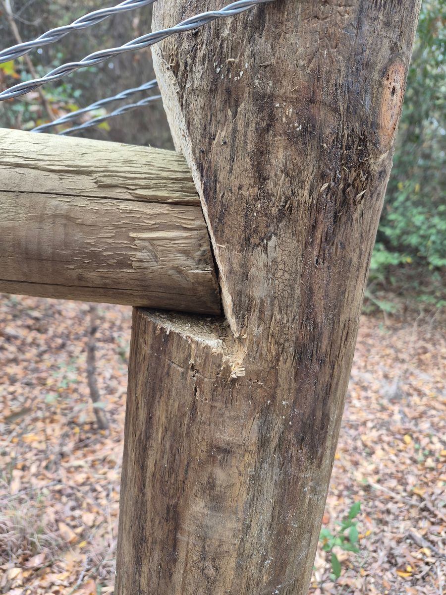 Residential Fencing for JR Fences in Dallas, TX