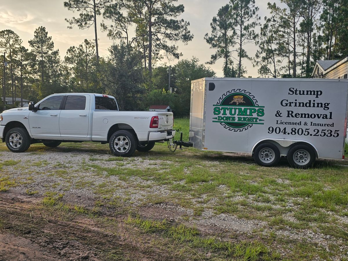 Stump Grinding for Stumps done right LLC in Middleburg, FL