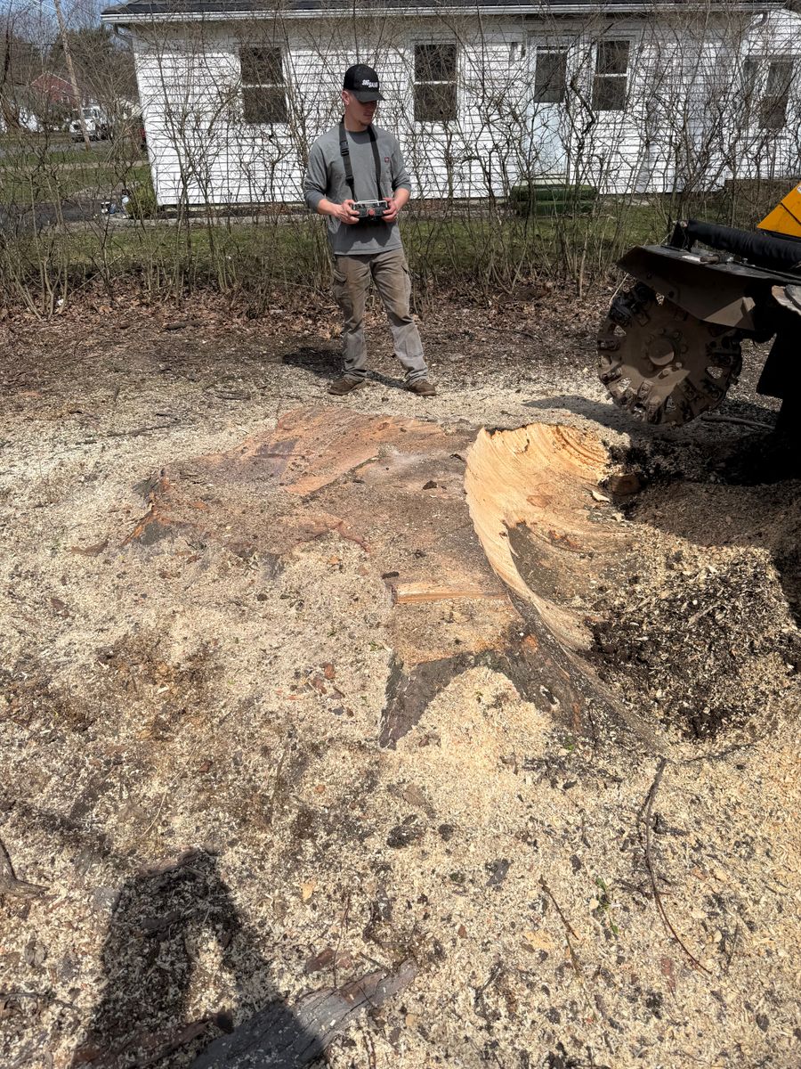 Stump Removal for Lovenguth Logging and Tree Service in West Monroe, NY
