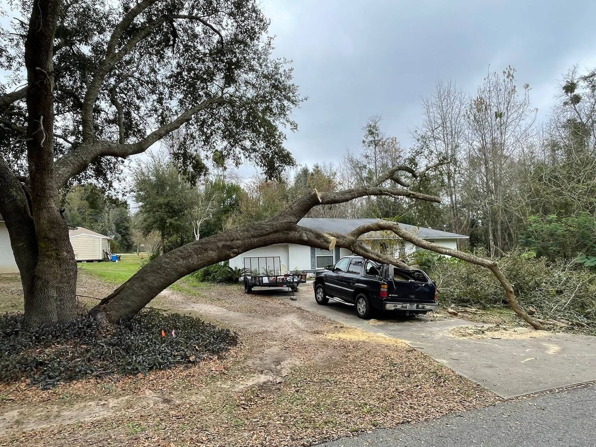 Storm Cleanup for Mr Timber in Ocala, FL