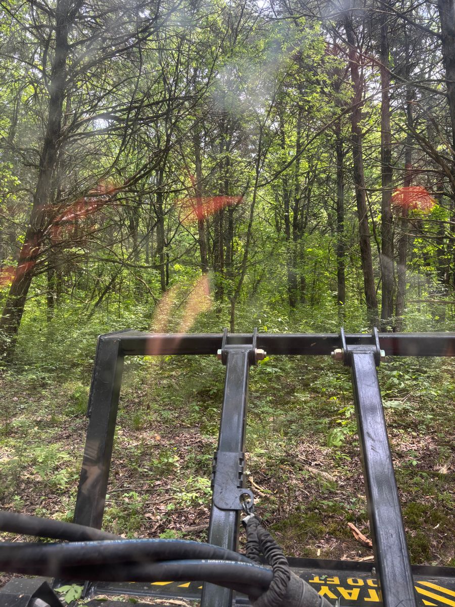 Land Clearing for Gregory Grass and Lawn in Lafayette, TN
