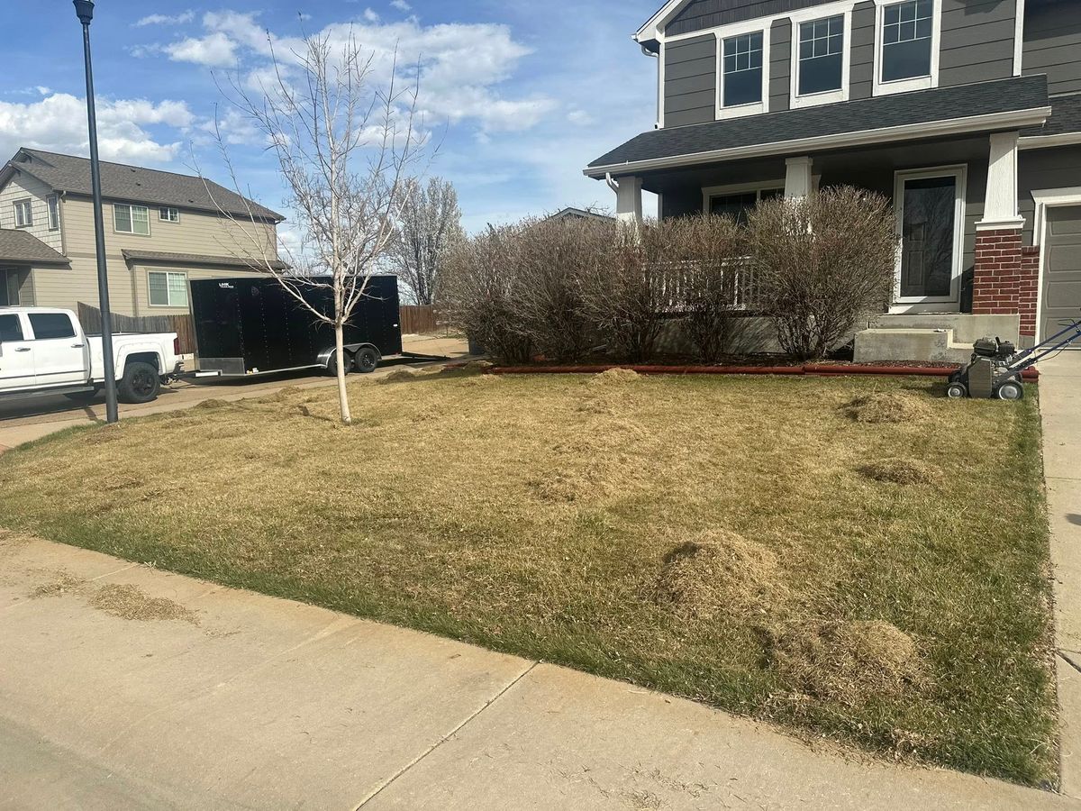 Power Rake for Manscaped Lawn Care in Firestone, CO