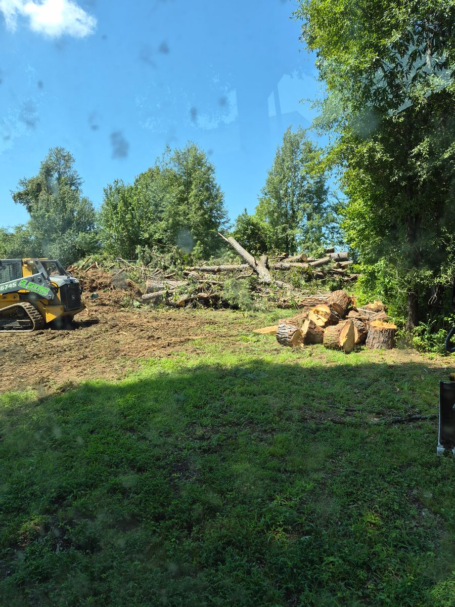 Land Clearing for 5 Star Land Management in Beech Bluff, TN