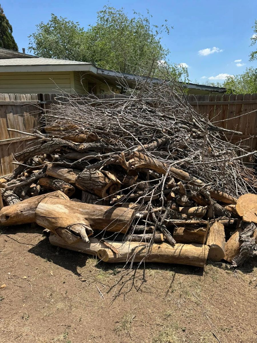 Hauling for Lion In The Tree Trimming Service in Big Spring, TX
