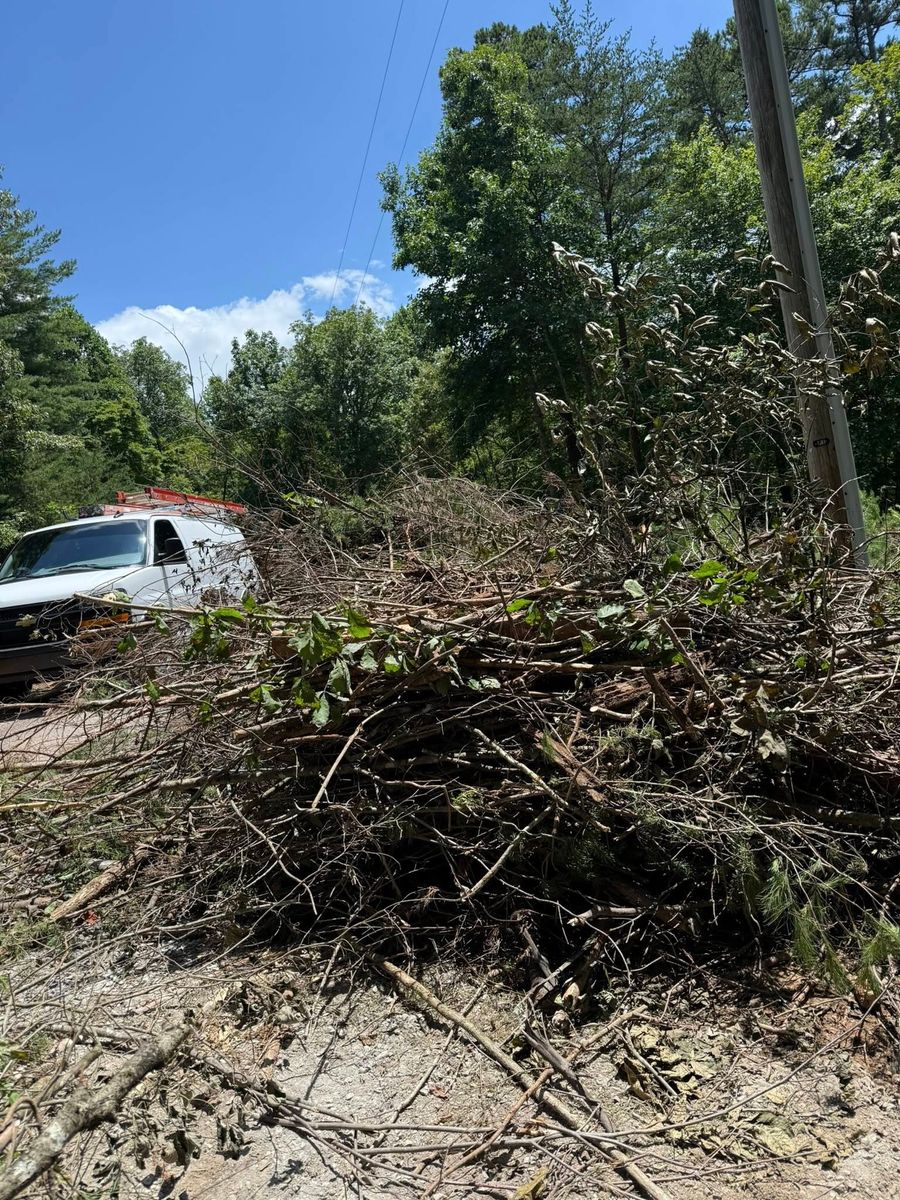 Tree Removal and Trimming for Pope Home Services in Blue Ridge, GA