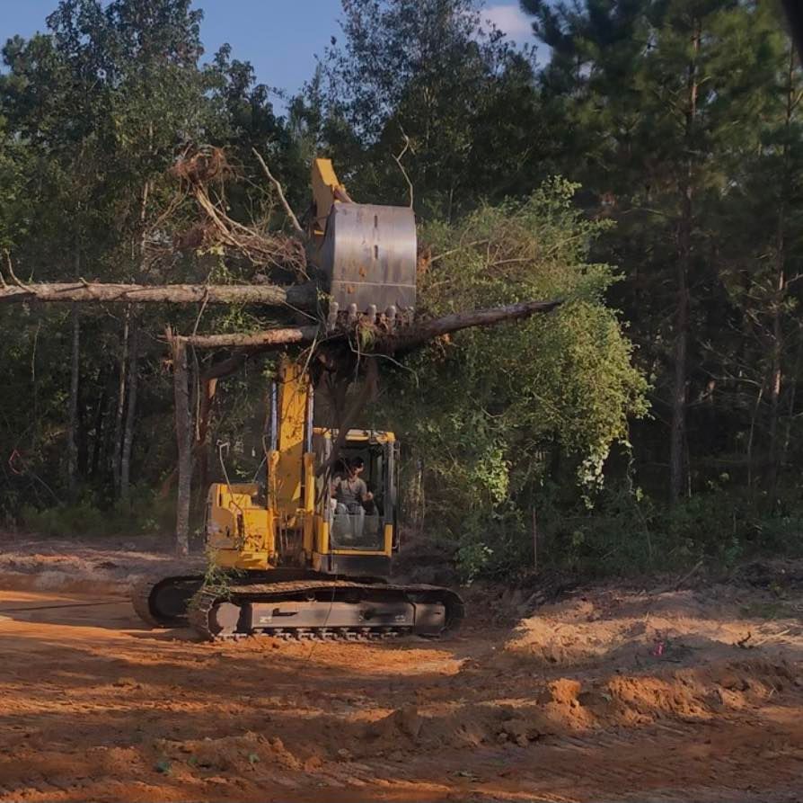 Stump Removal for H&H Land Clearing in Norman Park, GA