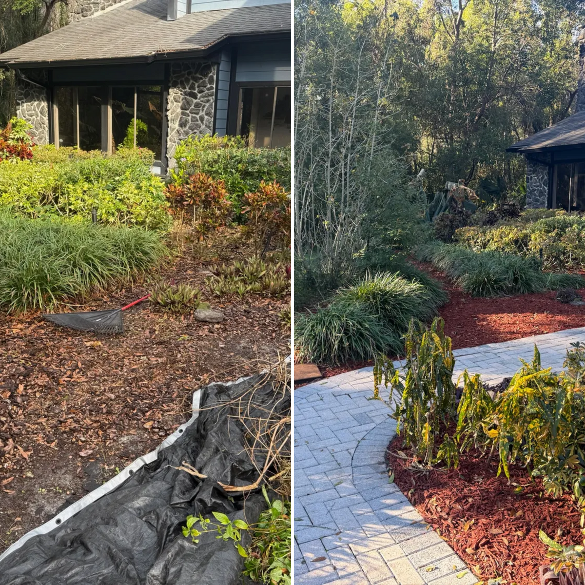 Fall Clean Up for Amerigrown Tree And Lawn in Apopka, FL