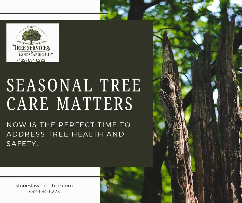 Tree Service for Stone's Tree Services and Landscaping in Midland, TX