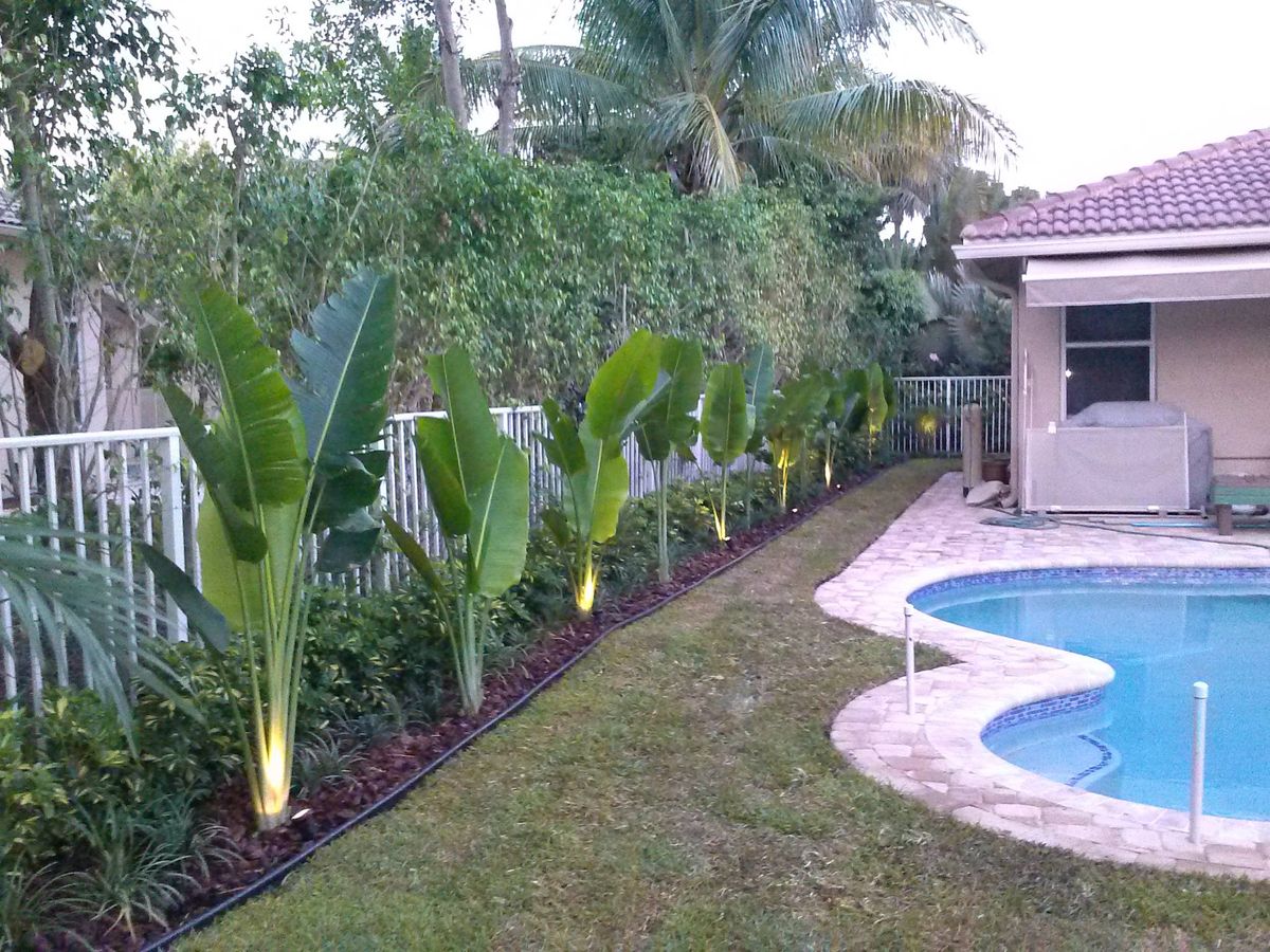 Landscape Installation for Tezna Landscaping, Trees & Pavers in Valrico, FL
