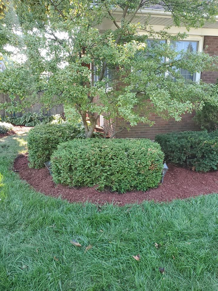 Shrub Trimming for Henry's Lawn Care in Rockford, IL