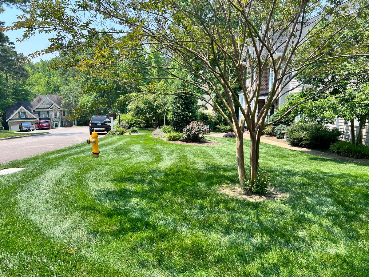 Lawn Maintenance for Wake & Franklin Grounds Maintenance in Raleigh, NC