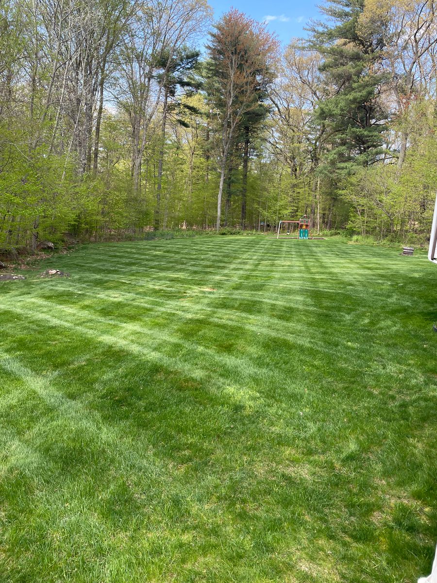 Lawn Aeration and Overseed for Blades of Glory LLC in Cheshire, CT