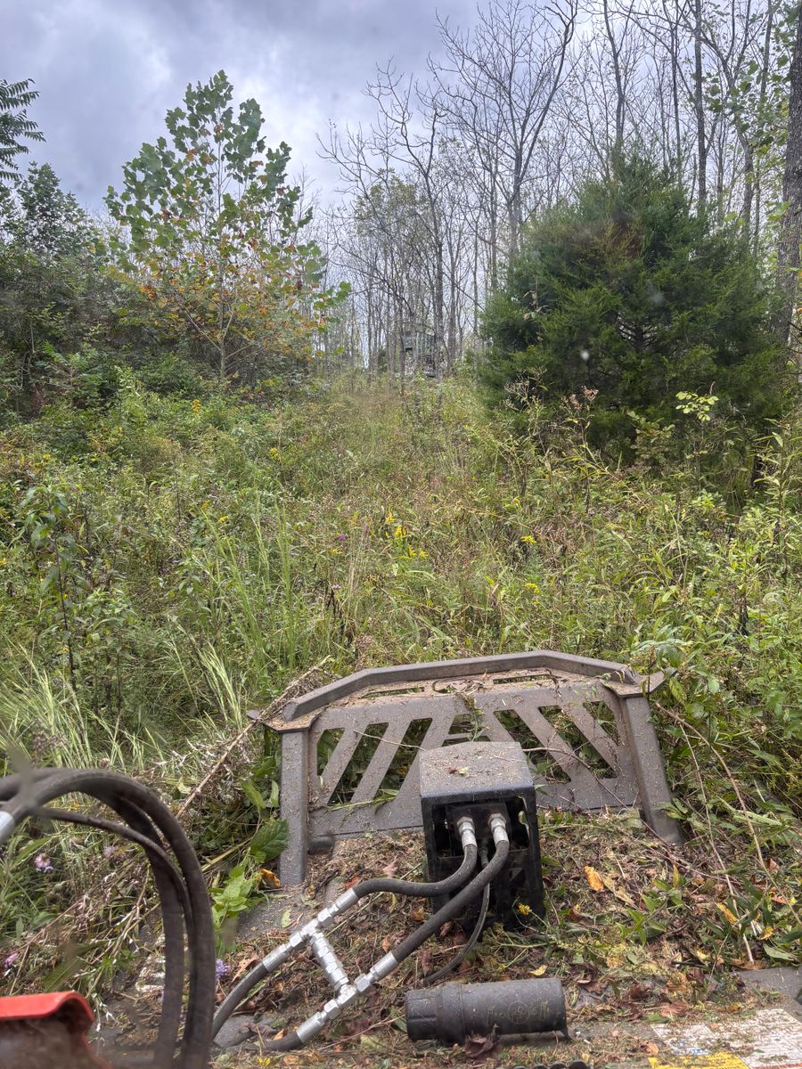 Land Clearing for Gregory Grass and Lawn in Lafayette, TN