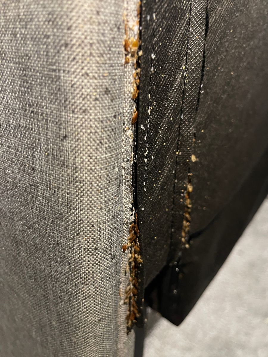 Bed Bugs for All-In Pest Control & Home Solutions in Greene County, IN