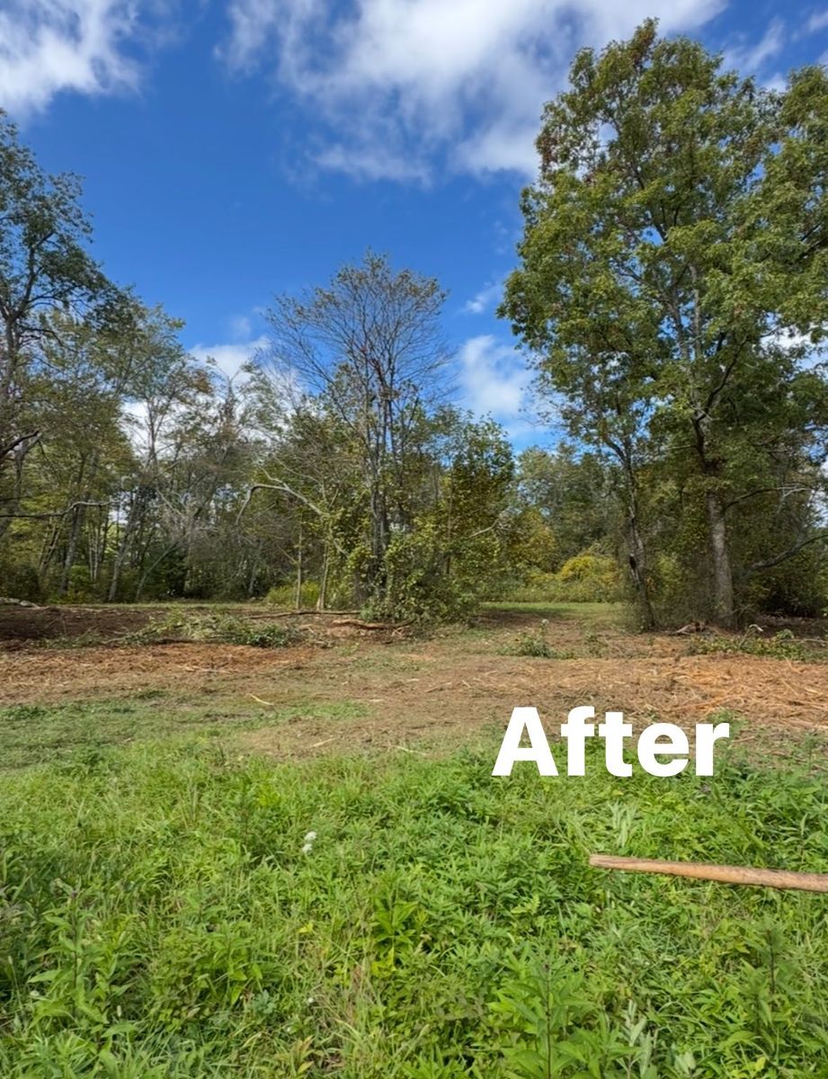 Vegetation Removal for Mountain Goat Land Management in Galax, VA