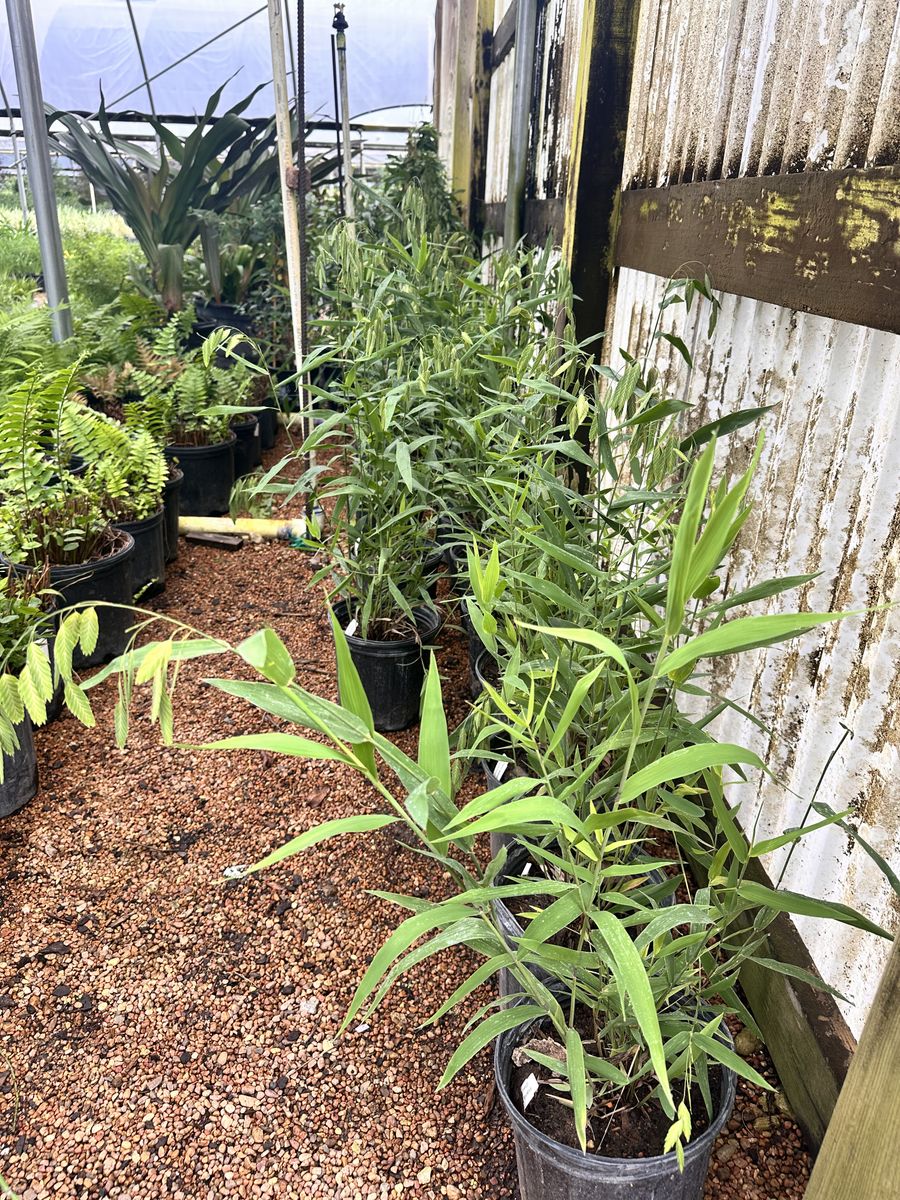 Landscape Installation for Atlas Land Design in Creekside Park, TX