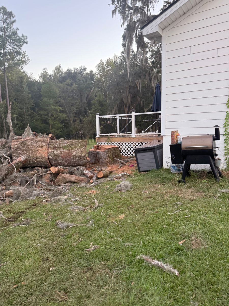 Tree Removal for Hawkins Tree Service & Land Management in Richmond Hill, GA