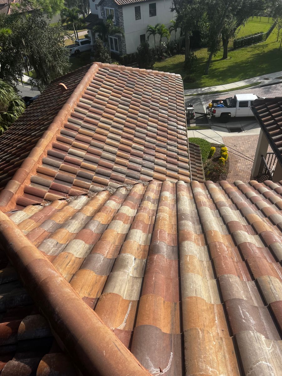 Exterior Cleaning for Barr None Wash Pro in Tampa, FL