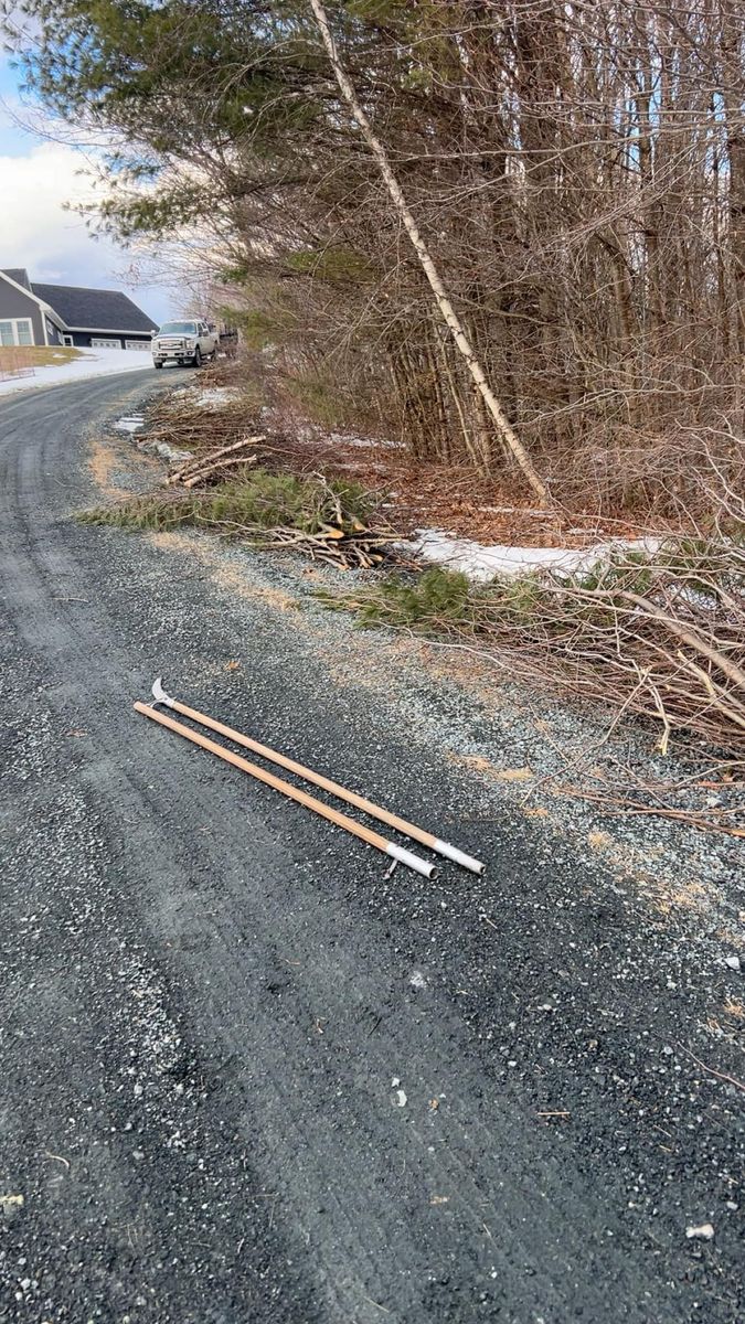 Tree Pruning and Trimming for Thomas Clifford Property Services LLC in Enfield, NH