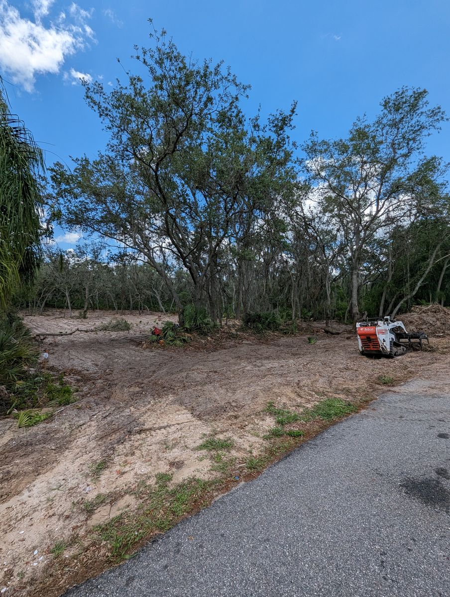 Land Clearing for Regal Tree Service and Stump Grinding in Wauchula, FL