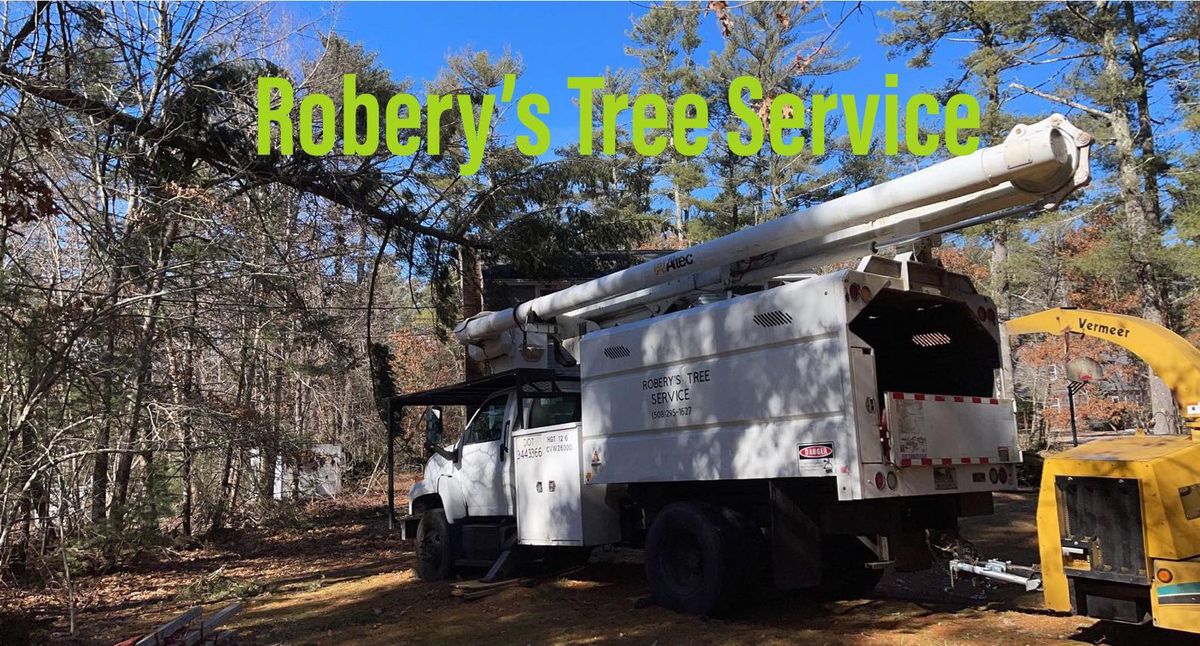 Tree Removal for Robery's Tree Service in West Wareham, MA