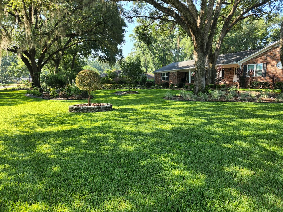 Lawn maintenance for Down & Dirty Lawn Svc  in Tallahassee, FL