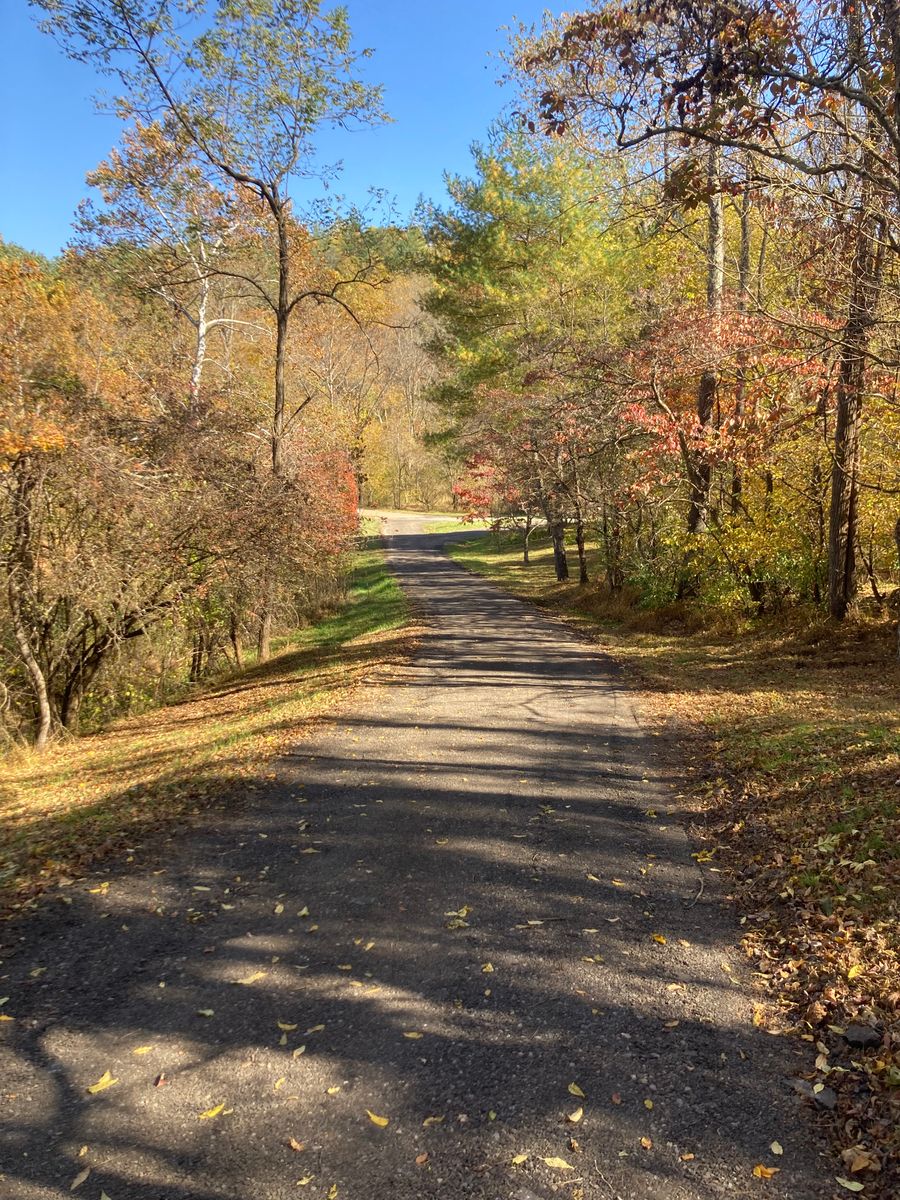 Driveway Regrading for 9999 Building and Renovation LLC in Warrenton, VA