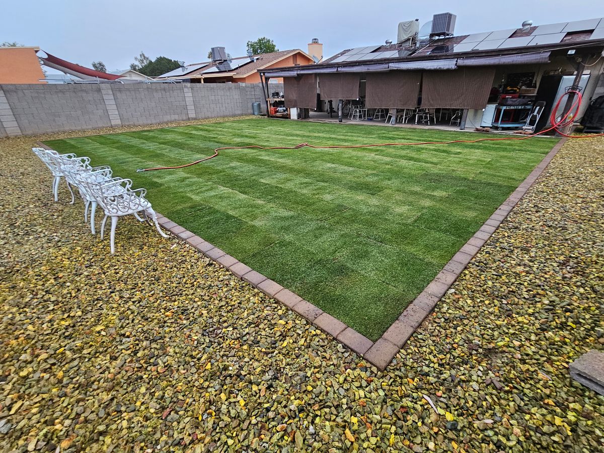 Lawn Maintenance / clean ups for Sharp Image LLC Landscaping & Hardscape in Phoenix, AZ