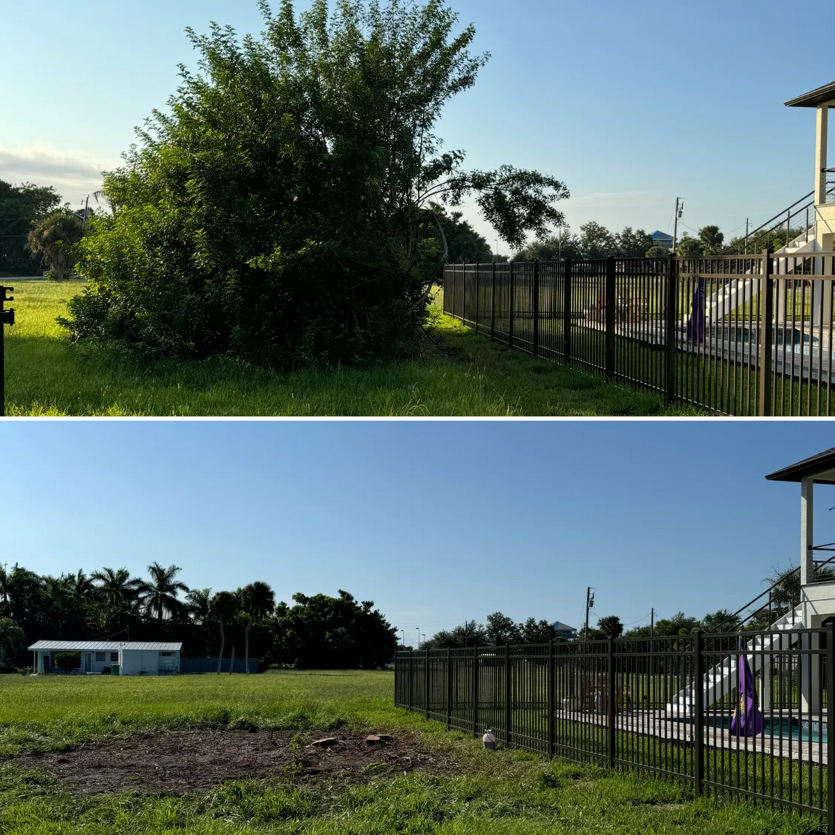 Tree Removal for Lemon Bay Tree Service  in Englewood, FL