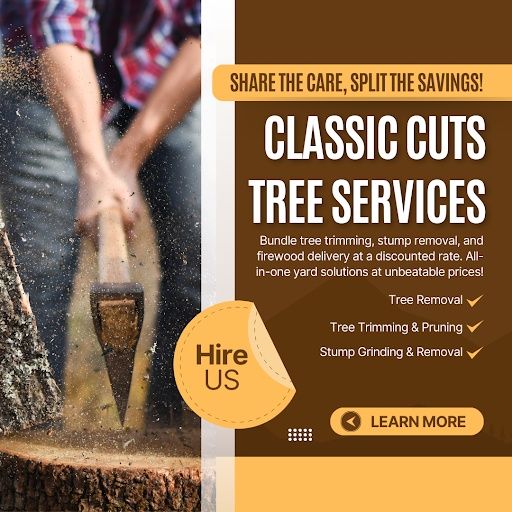Tree Removal for Classic cut tree trimming and removal in Arlington, TX
